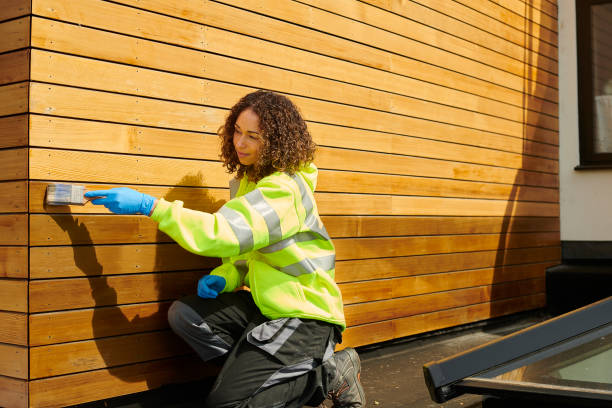 Best Siding Painting and Refinishing  in Offutt Af, NE